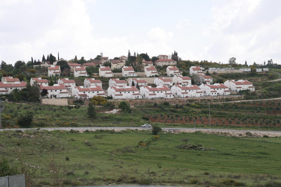 לעוף אל המיליון