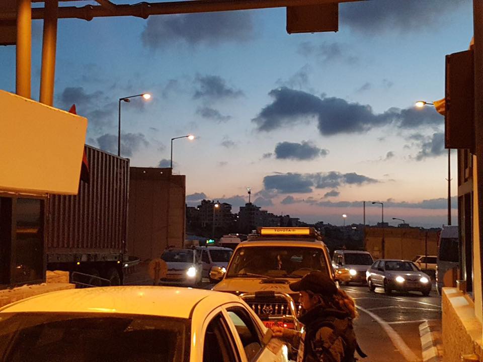 תכלה שנה ופקקיה