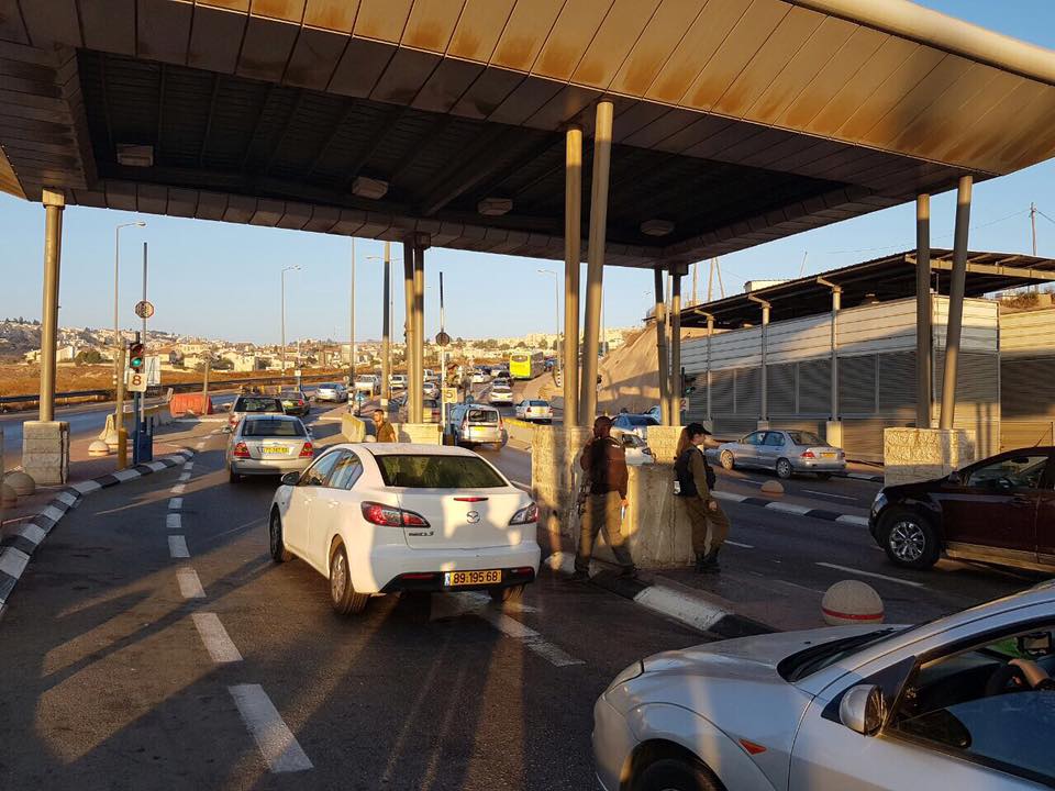תכנית האב