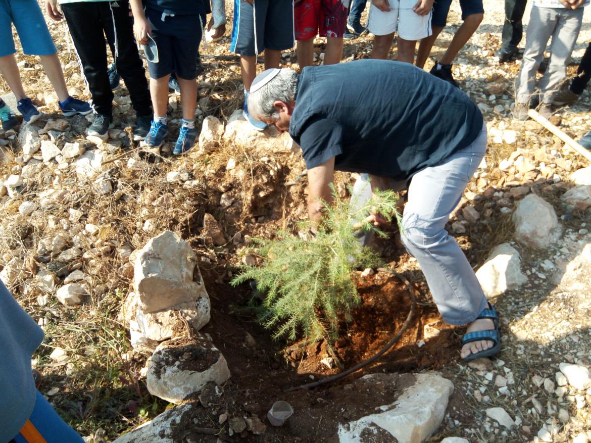 וברך שנתנו