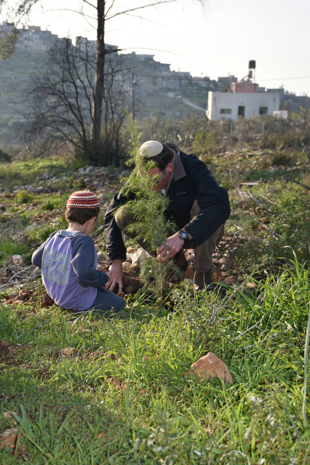 חור בלב ואת ביד