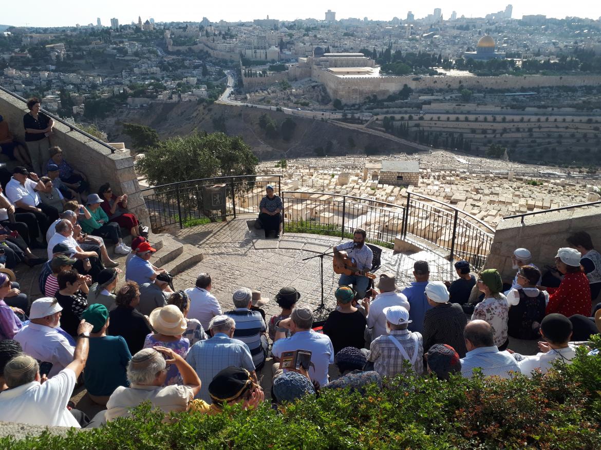 שבת ותיקים