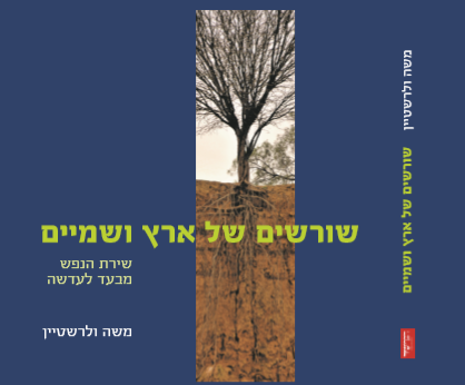 ביקורת ספר - תמונות נשמה