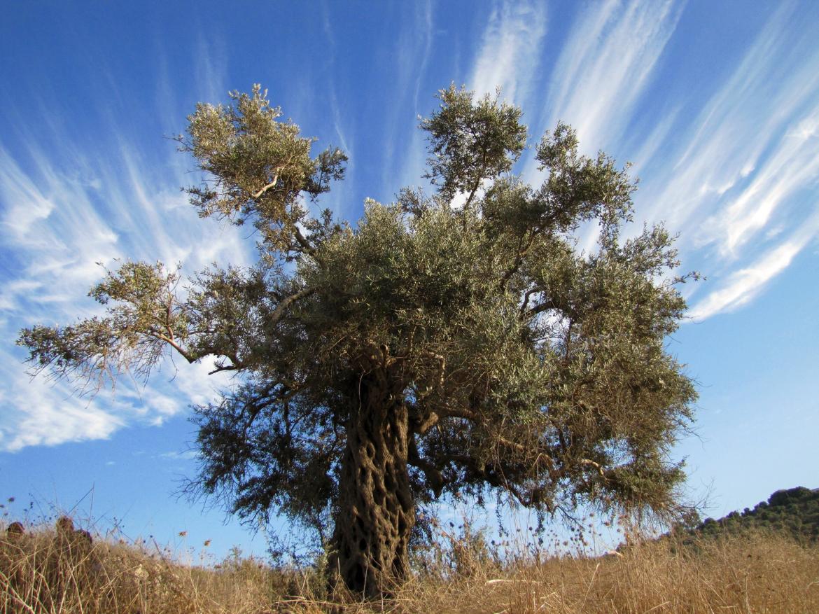 זה הסתיו
