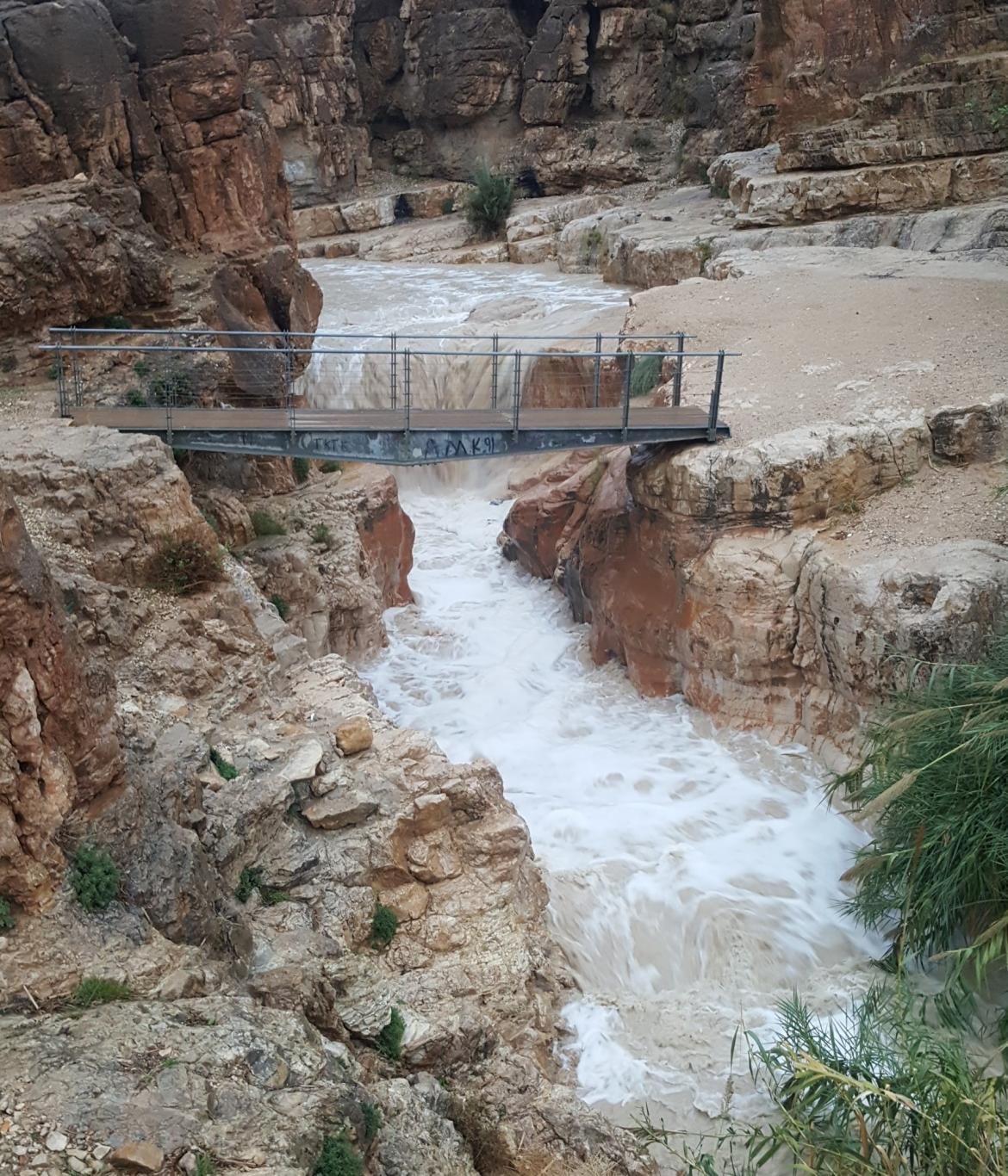 בכל מזג אוויר