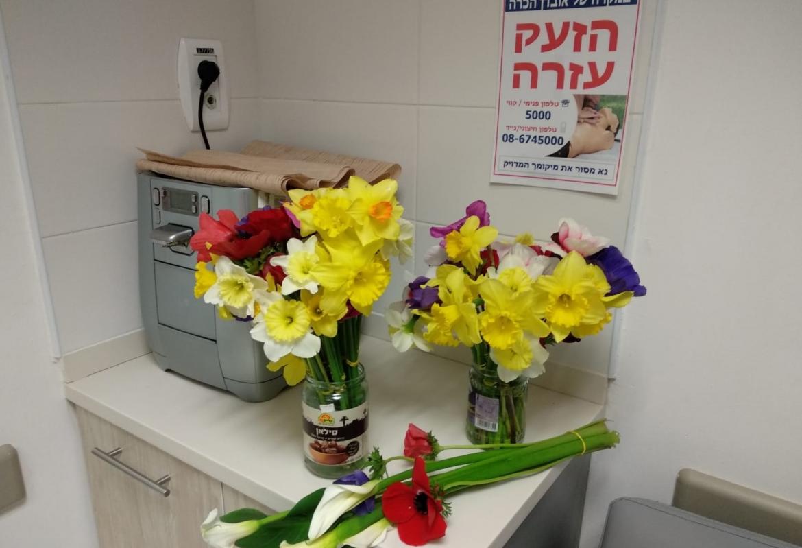 הפרחים לברזילי